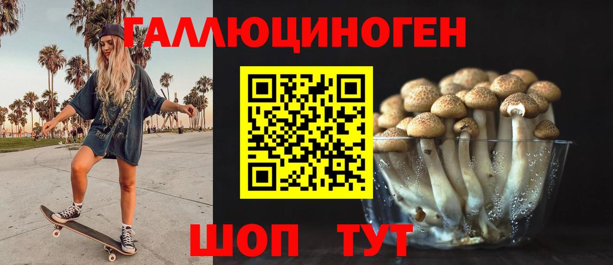Галлюциногенные грибы Psilocybine cubensis Балашов